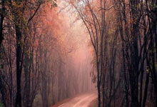 科创板开户准入的条件股票:炒股票最好的app软件-加码AI时代地域数据护城河 “欧洲股王”SAP押上200亿欧元